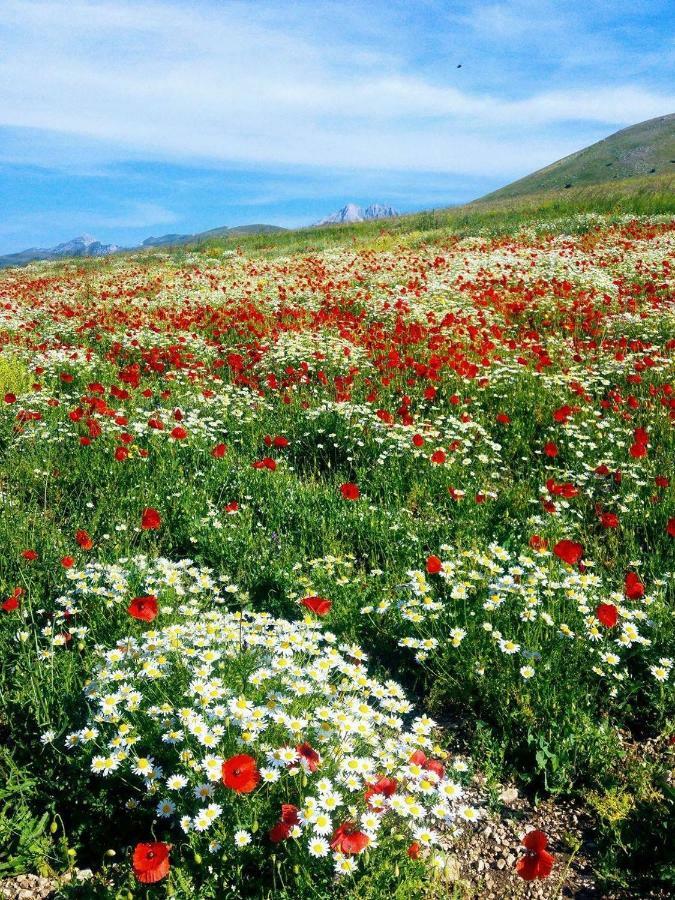 La Dote Bed and Breakfast Santo Stefano Di Sessanio Εξωτερικό φωτογραφία